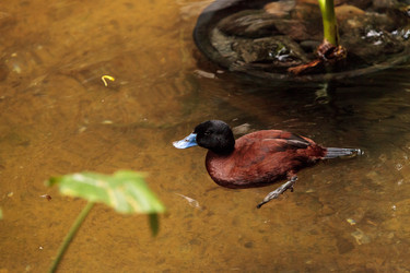 Similar image 19583572