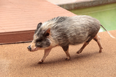 Similar image 19583340