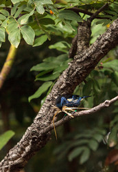 Similar image 19583500