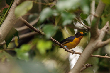 Similar image 19583506