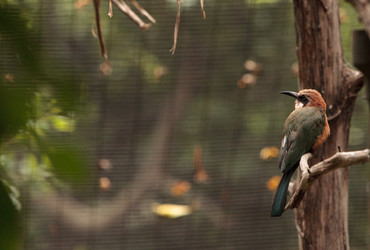 Similar image 19583509