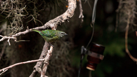 Similar image 19583515