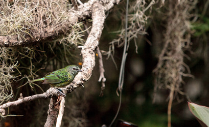 Similar image 19583518