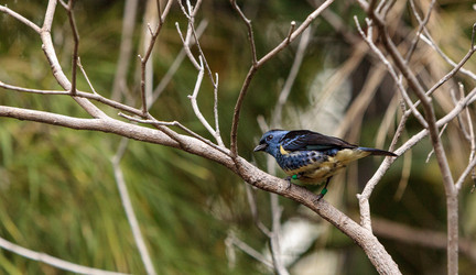 Similar image 19583514