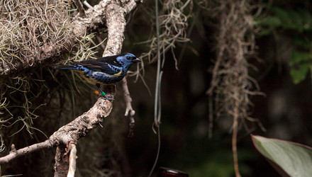 Similar image 19583516