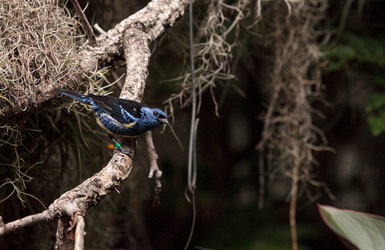 Similar image 19583520