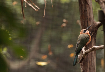 Similar image 19583535