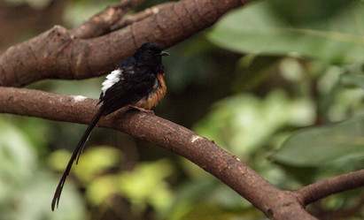 Similar image 19583573