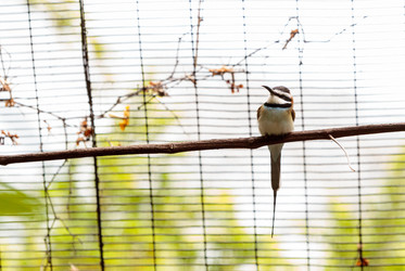 Similar image 19583592