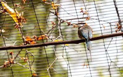 Similar image 19583595