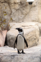 Similar image 19583457