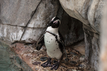 Similar image 19583474