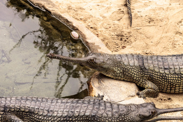 Similar image 19583541