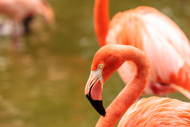 Similar image 19583556