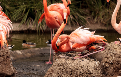 Similar image 19583559