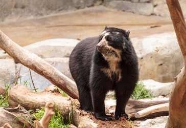 Similar image 19583562