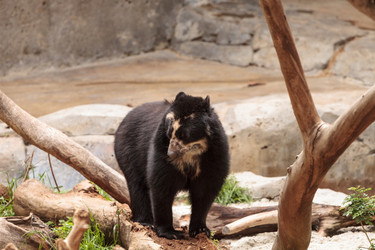 Similar image 19583563