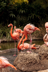 Similar image 19583606