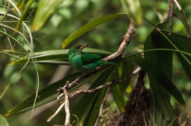 Similar image 19583477