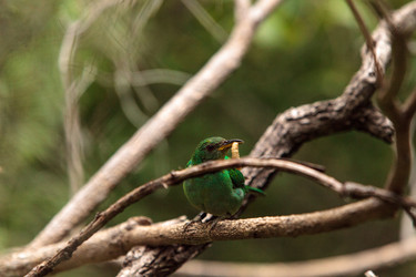 Similar image 19583479