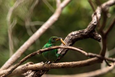 Similar image 19583480