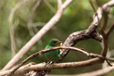 Similar image 19583481