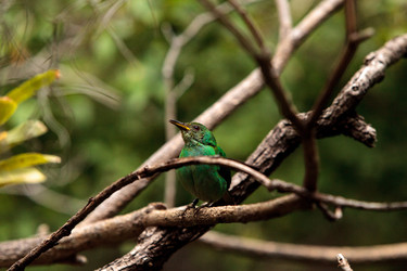 Similar image 19583482