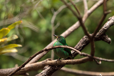 Similar image 19583483