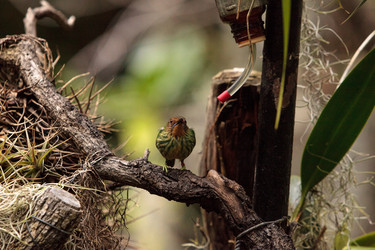 Similar image 19583511