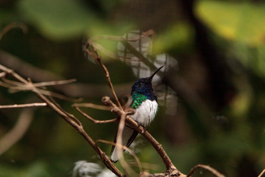 Similar image 19583517