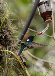 Similar image 19583519