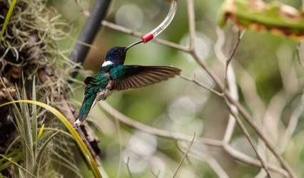 Similar image 19583545