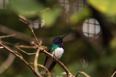 Similar image 19583548