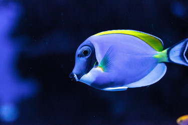 Similar image 19583436