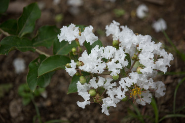 Similar image 19196097