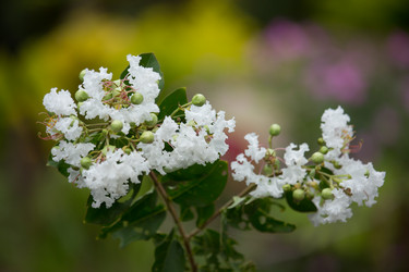 Similar image 19196098