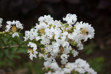 Similar image 19196100