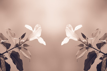 Similar image 19196101