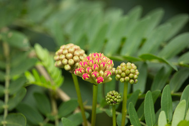 Similar image 19196114