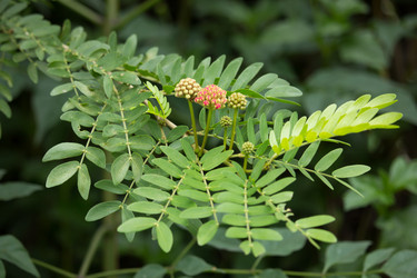 Similar image 19201778