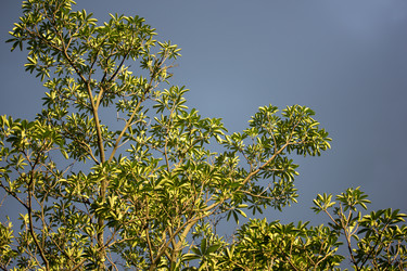 Similar image 19201781