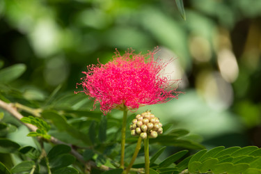 Similar image 19201782