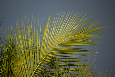 Similar image 19201951