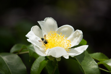 Similar image 19581178