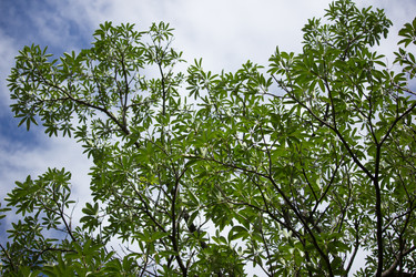 Similar image 19581179