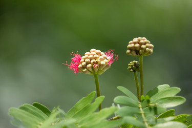 Similar image 19581180