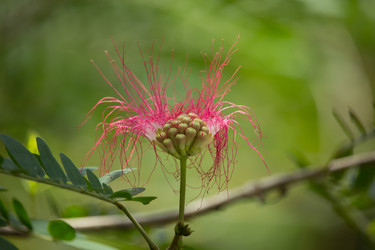 Similar image 19581182