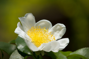 Similar image 19583692