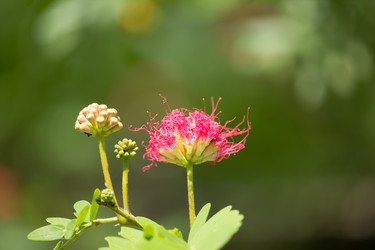 Similar image 19583693