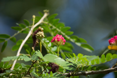 Similar image 19583709